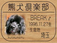 �I�[�i�[�́A�ԁ[�ۂ�ۂ񂳂�ł���